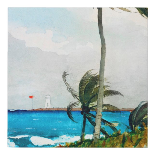 Palm Tree Nassau by Winslow Homer Faux Canvas Print (Front)