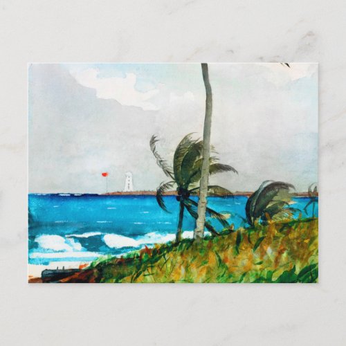 Palm Tree Nassau by Winslow Homer Postcard