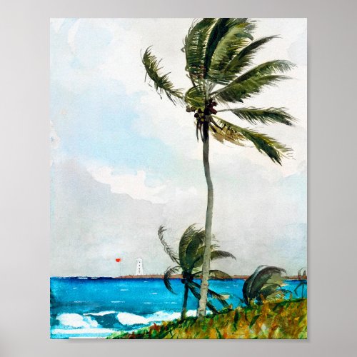 Palm Tree Nassau by Winslow Homer Poster