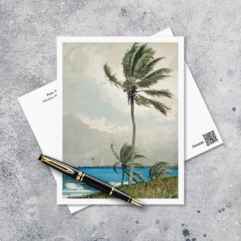 Palm Tree Nassau Winslow Homer Postcard by mangomoonstudio at Zazzle