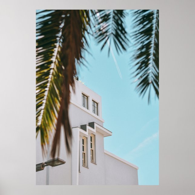 Palm tree near white concrete building poster (Front)