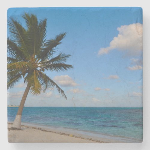 Palm Tree on a Beach Stone Coaster