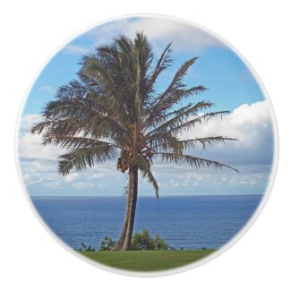 PALM TREE ON BLUFF ABOVE OCEAN