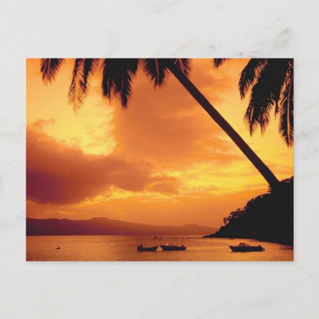 Palm Tree over Water Postcard (Front)