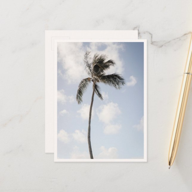 Palm Tree Photo Tropical Beach Hawaii Postcard (Front/Back In Situ)