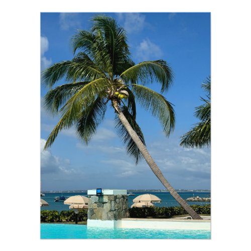 Palm Tree Pool and the Beach in St Martin Photo Print