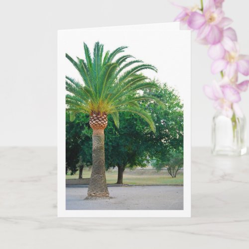 Palm tree Portrait Card