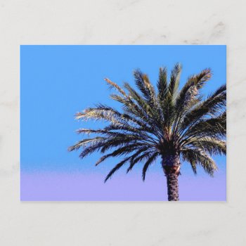 Palm Tree Postcard by DonnaGrayson_Photos at Zazzle