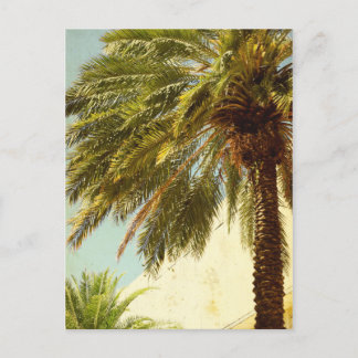 Palm Tree Postcard