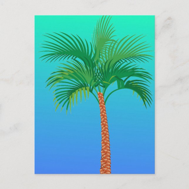 Palm Tree Postcard (Front)