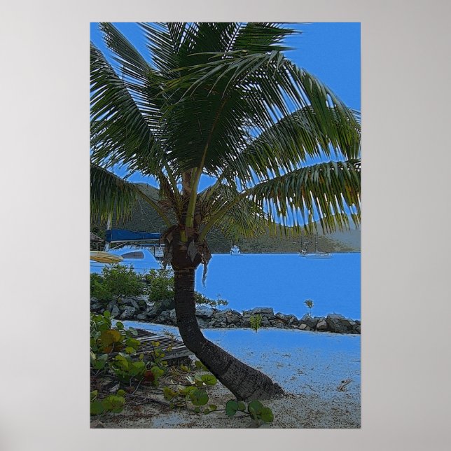 palm tree poster (Front)