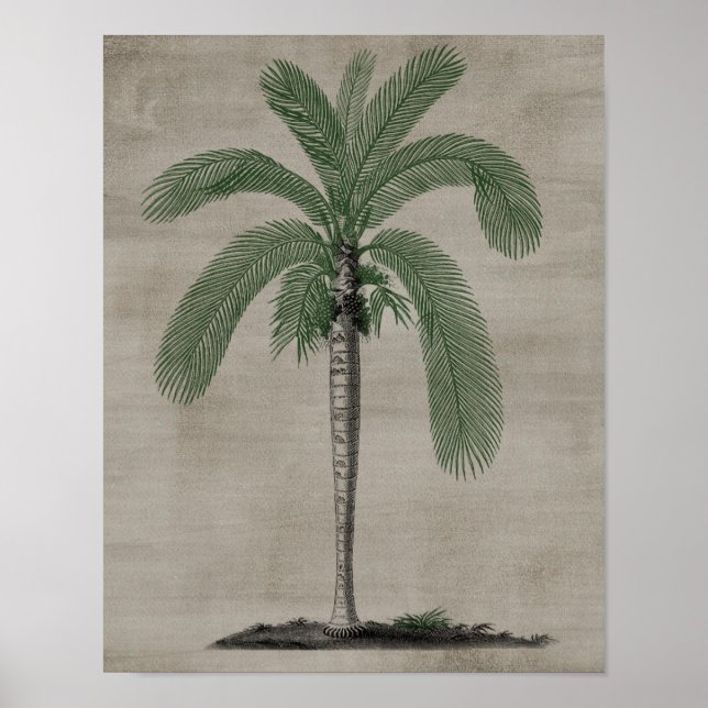 Palm Tree Poster (Front)