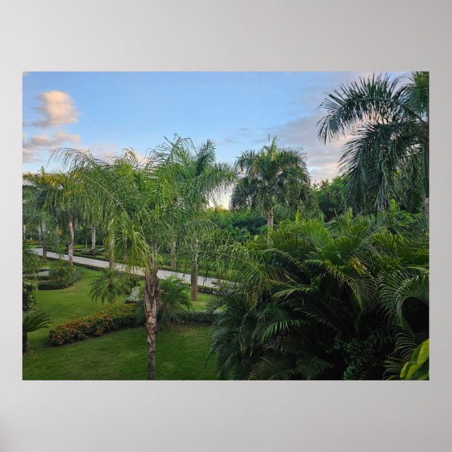 Palm tree poster (Front)