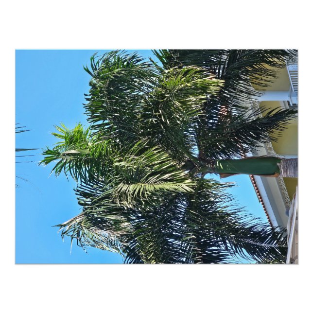 Palm tree print (Front)