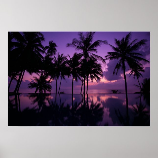 Palm Tree Reflection Poster (Front)