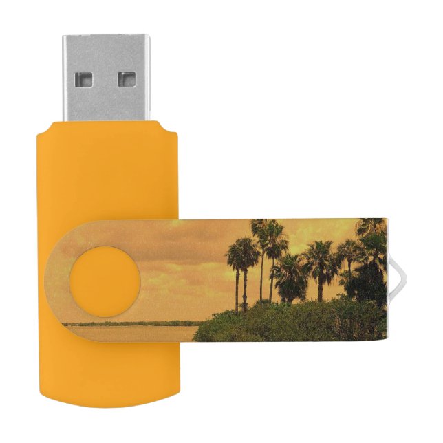 Palm Tree Reverie USB Flash Drive (Opened)