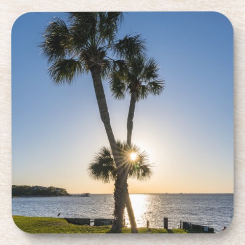 Palm Tree Scissors Silhouette Coaster Set