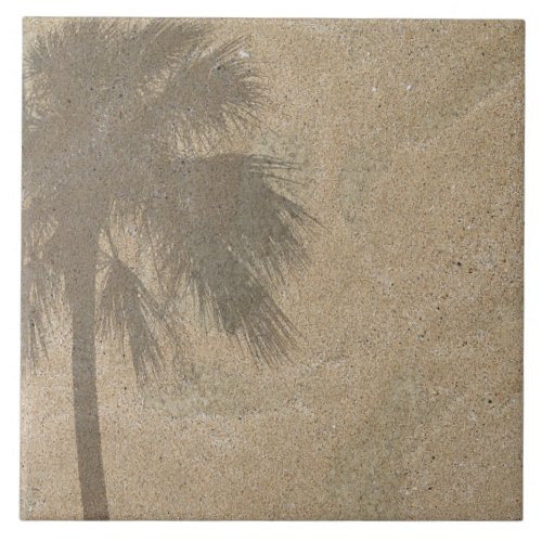 Palm Tree Shadow on Beach Sand Background _ Palms Tile