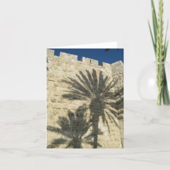 Palm Tree Shadows Card by judynd at Zazzle