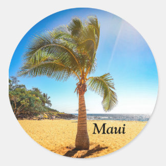 Palm tree sticker taken on Lanai Hawaii