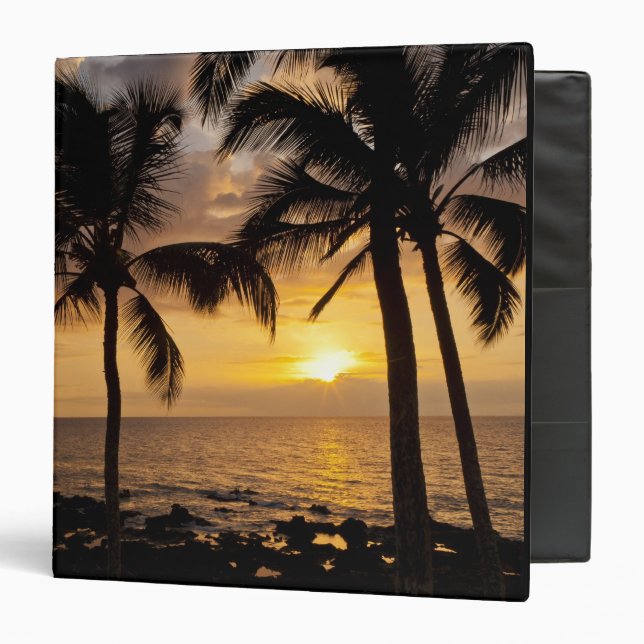 Palm tree sunset 3 ring binder (Front/Inside)