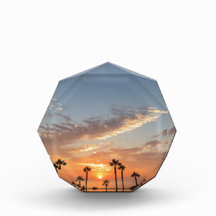 Palm Tree Sunset Award