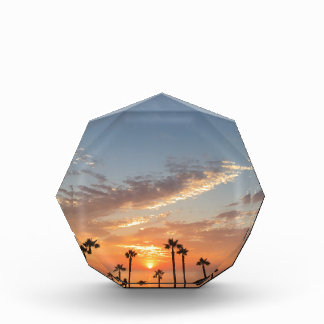 Palm Tree Sunset Award