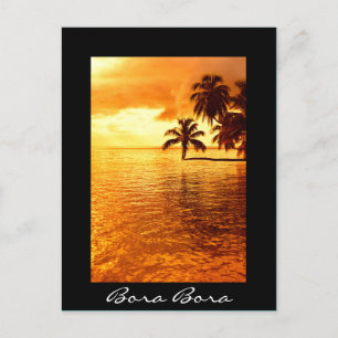 Palm tree sunset black Bora Bora postcard