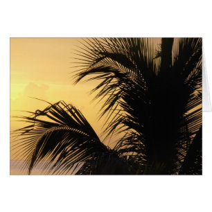 Palm Tree Sunset card