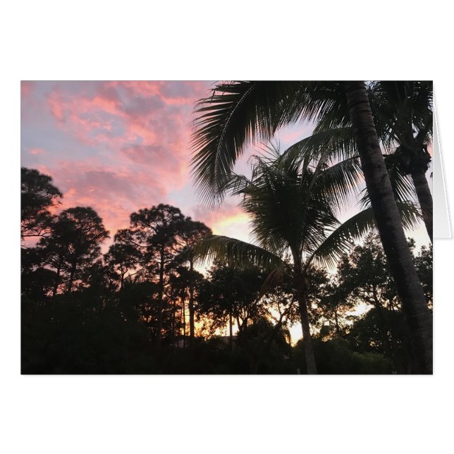 Palm Tree Sunset Cards (Front Horizontal)