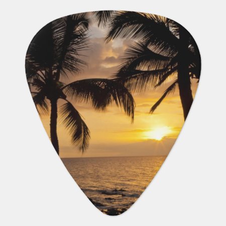 Palm Tree Sunset Guitar Pick