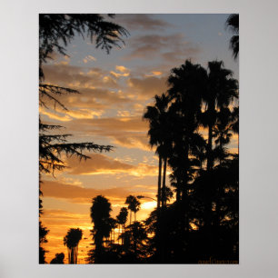 Palm Tree Sunset Los Angeles 8x12" Poster
