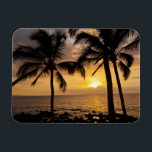 Palm tree sunset magnet<br><div class="desc">Cathy & Gordon Illg \\COPYRIGHT Cathy & Gordon Illg / Jaynes Gallery / DanitaDelimont.com | USA, Hawaii, Maui, Kihei. Palm tree sunset. Credit as: Cathy & Gordon Illg / Jaynes Gallery / DanitaDelimont.com | AssetID: US12 BJY0009</div>