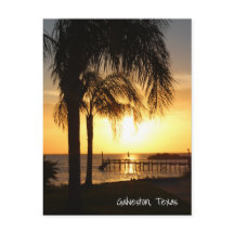 Palm Tree Sunset