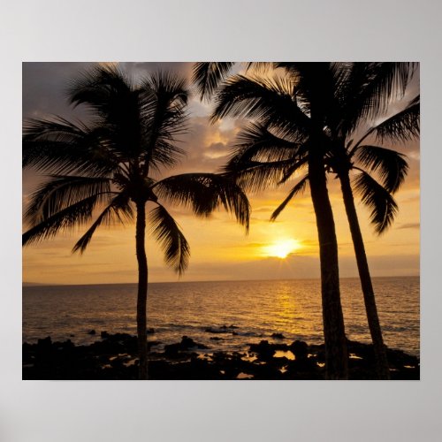 Palm tree sunset poster