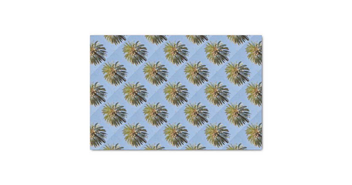 Palm Tree Tissue Paper Zazzle