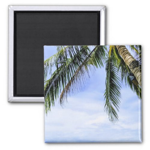 Palm Tree Tropical Beach Magnet