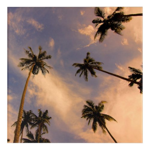 Palm tree tropical exotic paradise acrylic print
