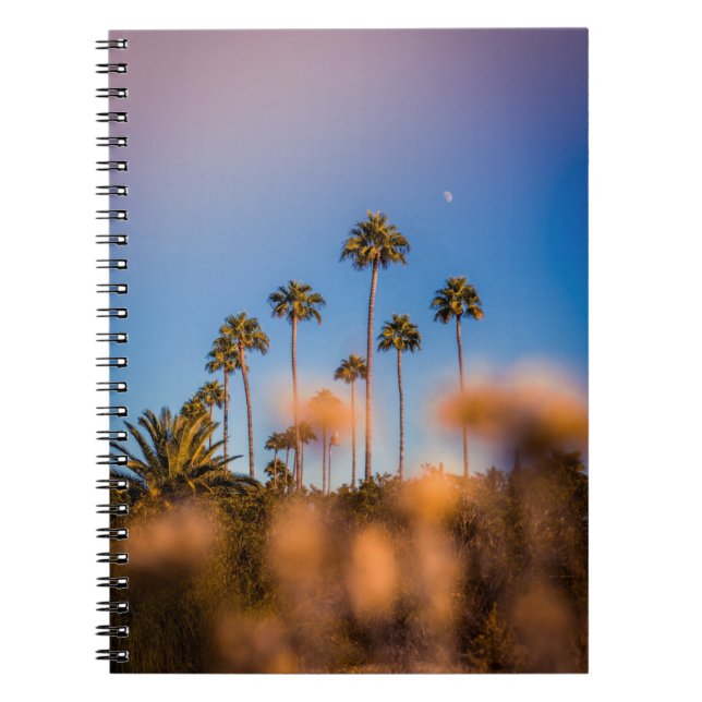 Palm tree under blue sky notebook (Front)