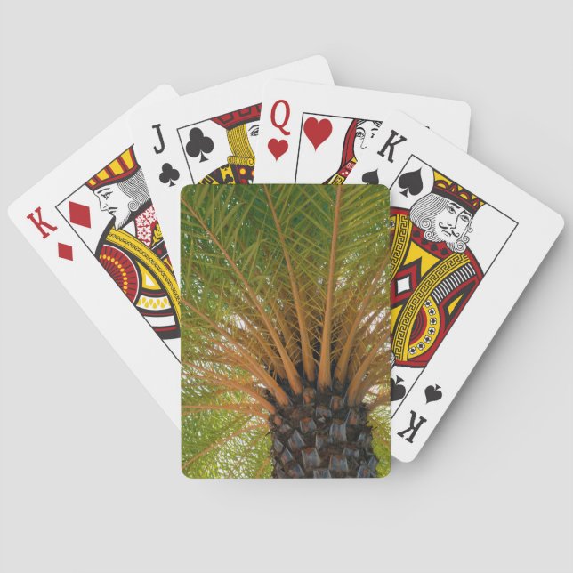 Palm Tree Underside Poker Cards (Back)