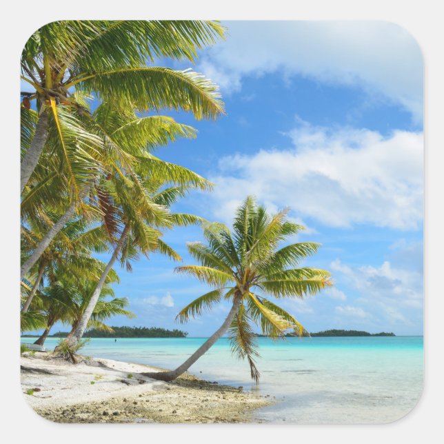 Palm tree white sand beach photo sticker (Front)