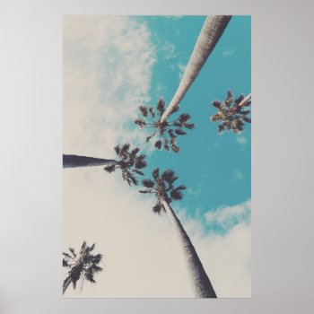 Palm Trees Against A Turquoise Sky Photo Poster by Maple_Lake at Zazzle