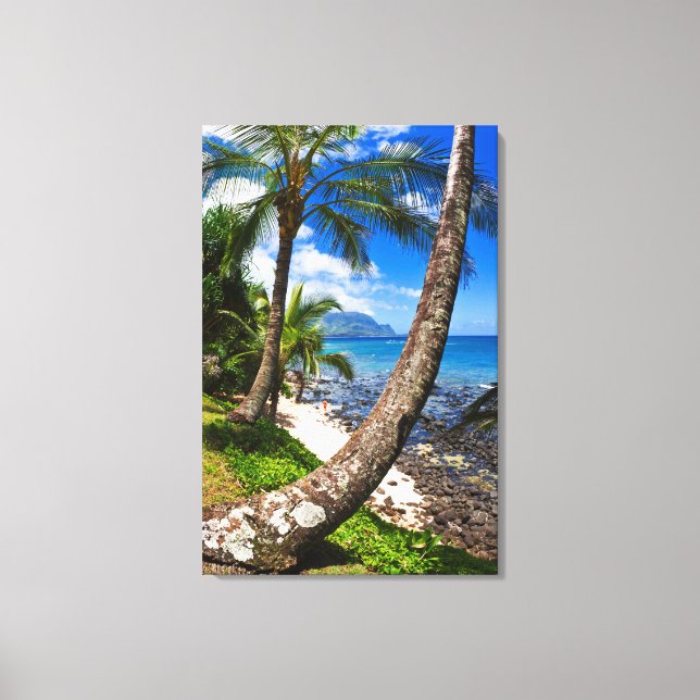 Palm Trees Along Hideaways Beach Canvas Print (Front)