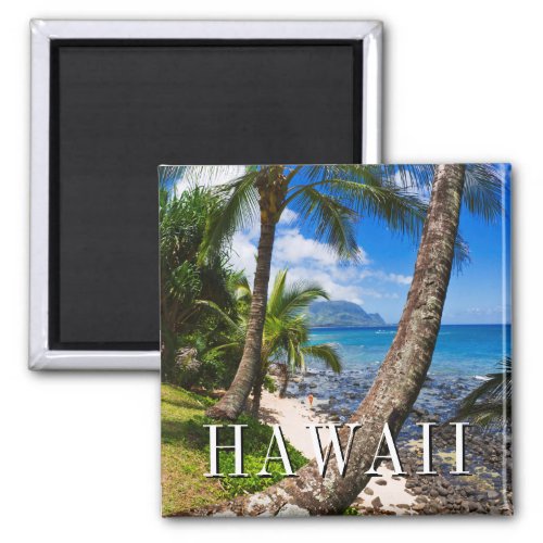 Palm Trees Along Hideaways Beach Magnet