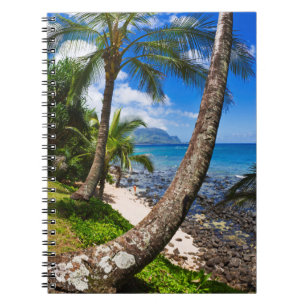 Palm Trees Along Hideaways Beach Notebook