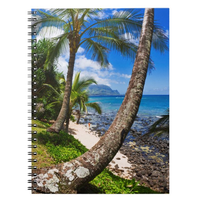 Palm Trees Along Hideaways Beach Notebook (Front)