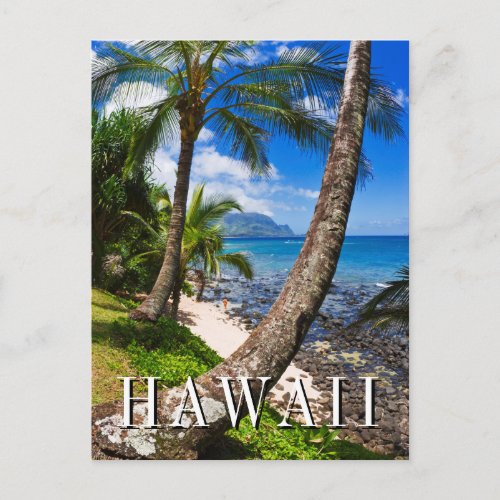 Palm Trees Along Hideaways Beach Postcard