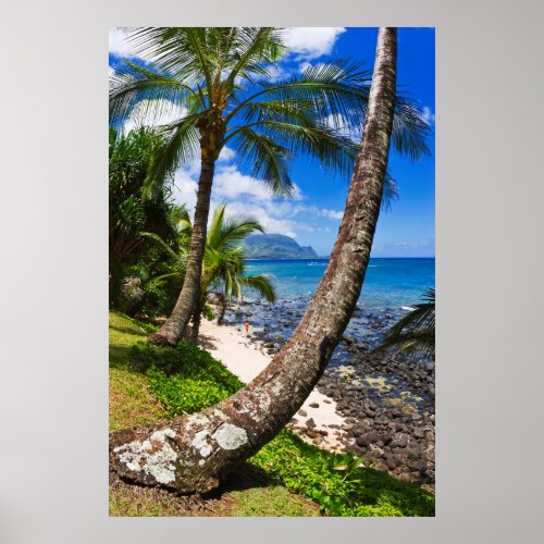 Palm Trees Along Hideaways Beach Poster
