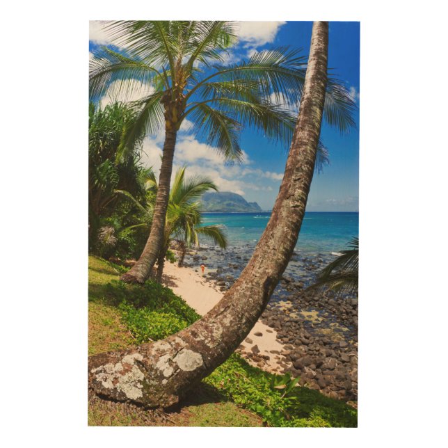 Palm Trees Along Hideaways Beach Wood Wall Art (Front)