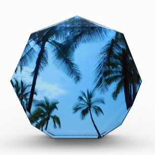 Palm Trees and Blue Skies Acrylic Award